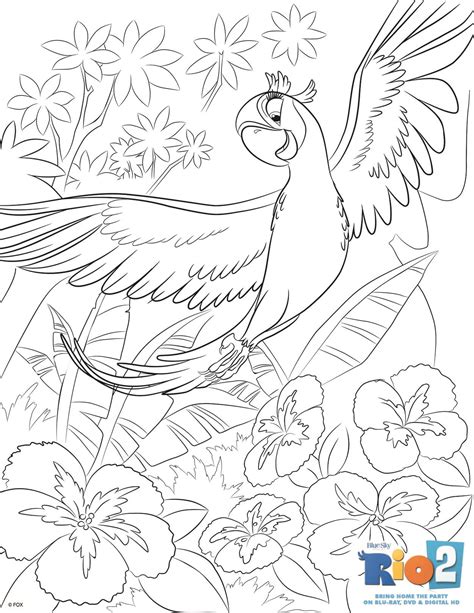 Free Rio 2 Coloring Pages | Coloring pages, Bird coloring pages ...