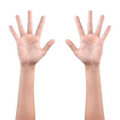 Left And Right Hand Showing The Fingers With Clipping Path Stock Photo ...