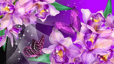 🔥 Free Download Purple Wallpaper And Hd Background Best Desktop by ...