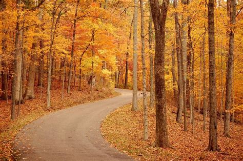 Kalamazoo River Valley Trail | Michigan