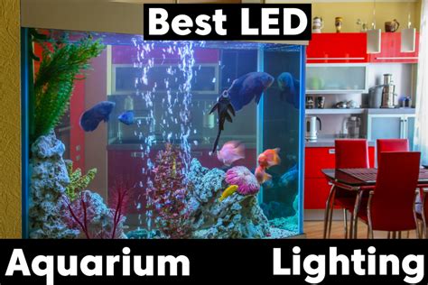 Best LED Aquarium Lighting for Plants or Corals (2024 Reviews)