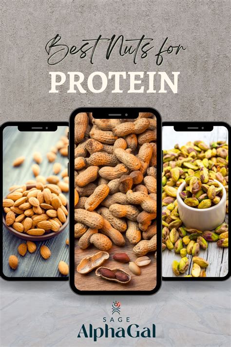 High Protein Nuts: Your Ultimate Snacking Guide