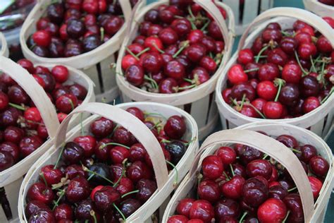 Céret Cherries | The French Life