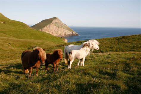 Shetland - Holidays & Breaks | VisitScotland