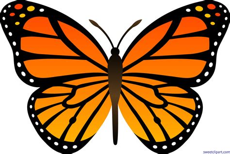 Monarch Free Clipart Butterfly Vector Png Stunning Free Transparent ...