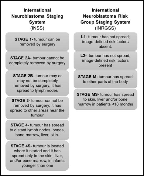 #clinical trials – Blog about neuroblastoma research