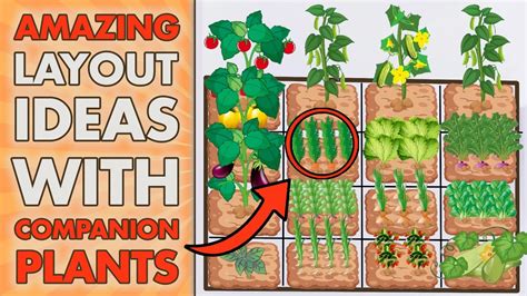 5 SQUARE FOOT GARDENING Layout Ideas With COMPANION PLANTS (Beginners ...