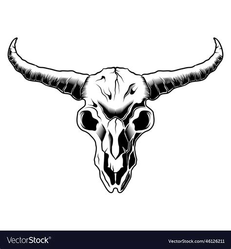 Skull bull head black and white drawing longhorn Vector Image