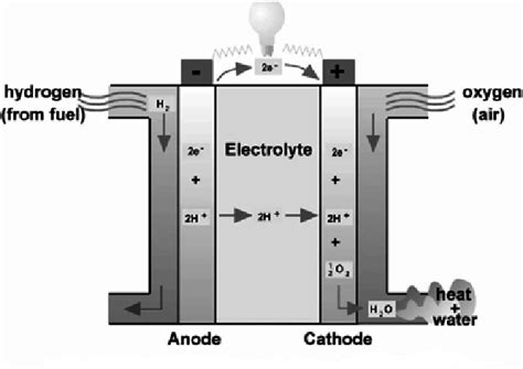 Schematic diagram of PEMFC mechanism | Download Scientific Diagram