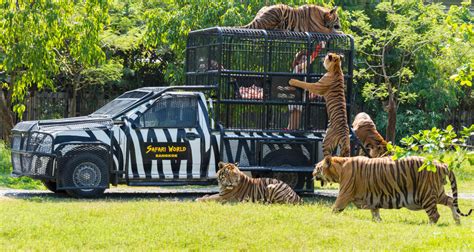 【童遊產品】泰國親子一日遊提案！包車前往曼谷最大野生動物世界Safari World及Marine Park - Travelababies ...