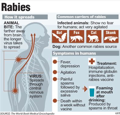 Animal Bite/Rabies Prevention | Franklin County Health Department