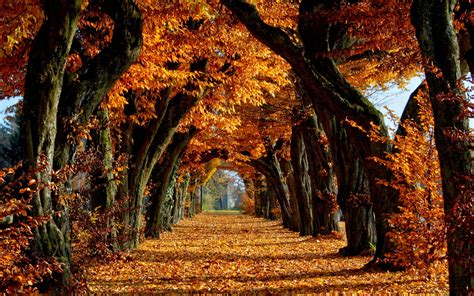 Autumn | Autumn scenery, Autumn wallpaper hd, Fall wallpaper