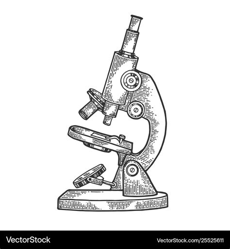 Microscope sketch engraving Royalty Free Vector Image