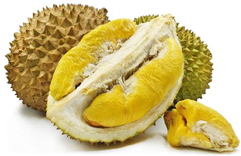 Musang King Durian Information and Facts