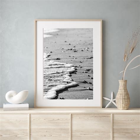 Black and White Beach Photography Seashells Ocean Neutral - Etsy