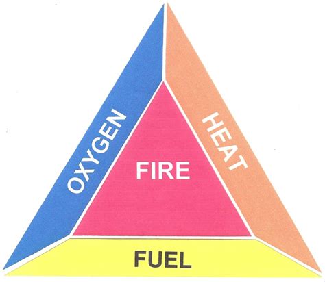 The Fat Loss "Fire Triangle" - Laine Norton Fitness