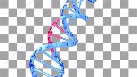 DNA double helix, animation - Stock Video Clip - K007/2443 - Science ...