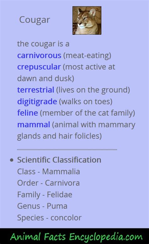 Cougar Facts - Animal Facts Encyclopedia