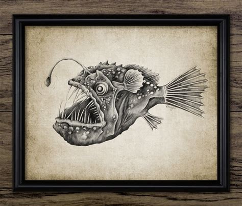 Angler Fish Illustration