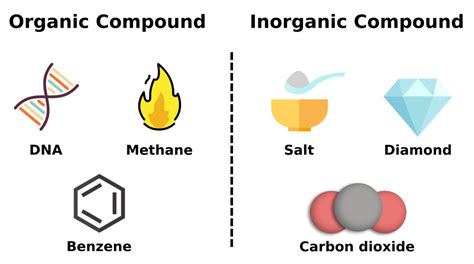 Organic & Inorganic Chemistry | The Difference Between Both