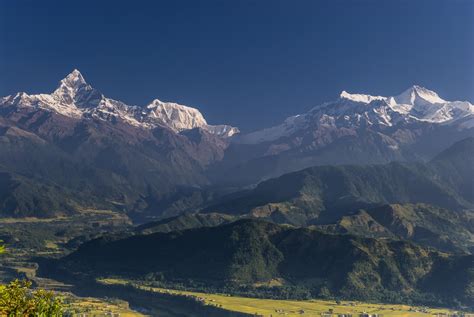 Annapurna III - Mountain Field Guide