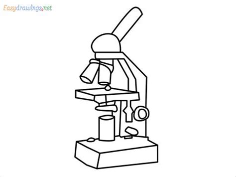 Details more than 84 simple microscope drawing latest - xkldase.edu.vn