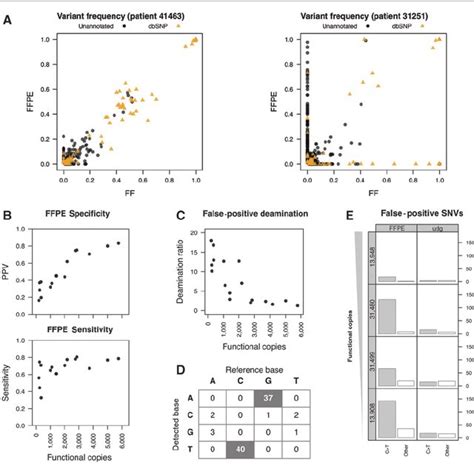 PTEN, PIK3CA, and PIK3R1 mutation pro fi les in endometrial cancer ...