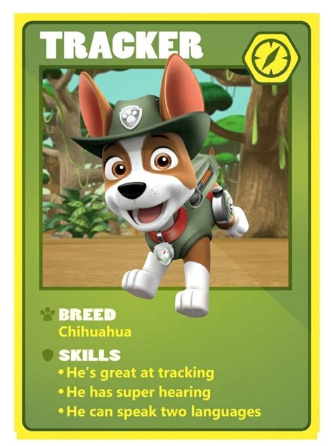 PAW Patrol Get To Know New Pup Rex Before He Returns In A, 58% OFF