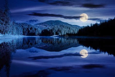 23,787 Lake Forest Night Stock Photos - Free & Royalty-Free Stock ...