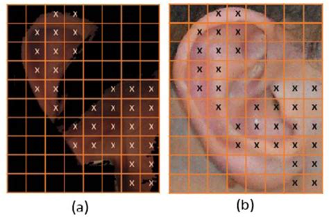 Examples of ear occlusion detection: a) original occluded ears, b ...