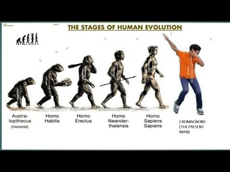 Hominids Timeline For Kids