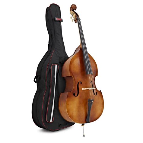 Cello vs. Double Bass – What’s the Difference? | Gear4music