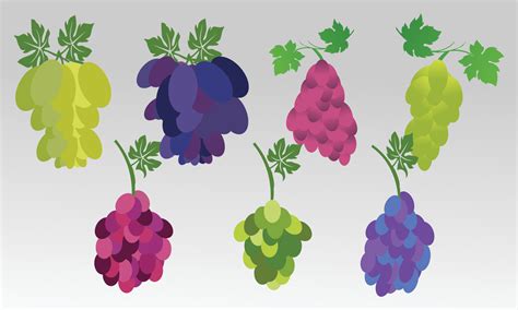 Grapes Vector Collection 13339930 Vector Art at Vecteezy