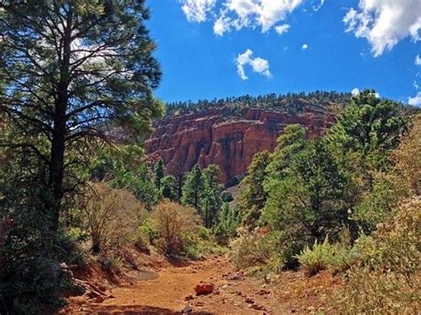 THE 10 BEST Flagstaff Hiking Trails (2024) - Tripadvisor