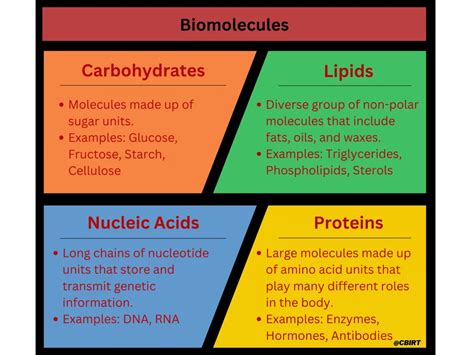 What are Biomolecules? - CBIRT