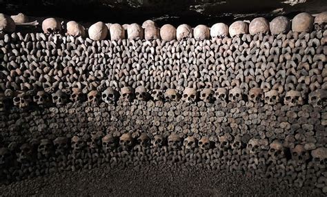 HD wallpaper: gray and white skeletons, skulls, catacombs, paris, death ...