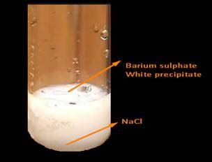 AIM To perform and observe the reaction between sodium sulphate and ...