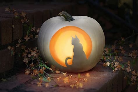 Cat Pumpkin Carving Templates