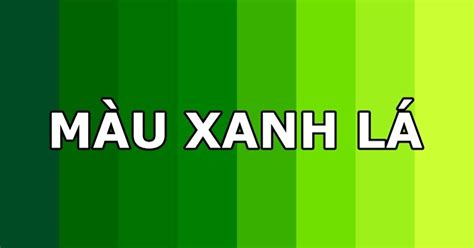 Màu xanh lá cây là gì? Bí ẩn về ý nghĩa trong cuộc sống, văn hóa