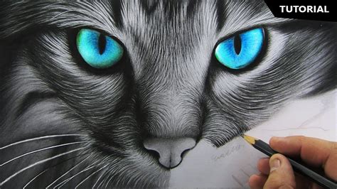 View Realistic Cat Sketch Gif