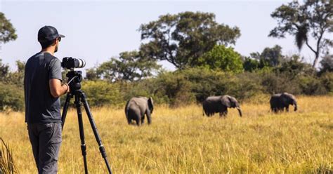 10 Best African Photographic Safaris 2020: Tour Deals & Tips - TourRadar