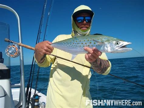 Fishing for Spanish Mackerel | FishAnywhere