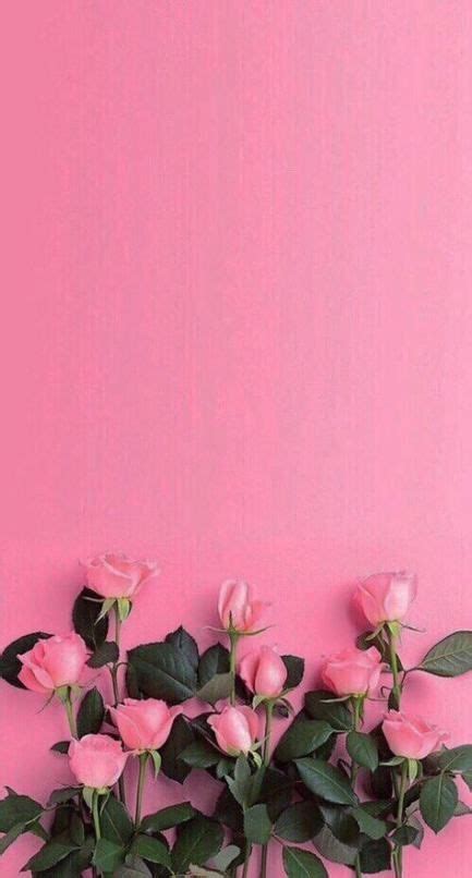 Pretty Pink Flowers Aesthetic Wallpaper - Download Free Mock-up