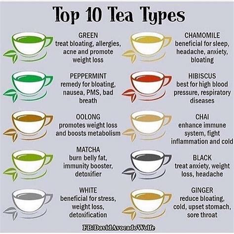 These teas are a good beginners guide. But there are thousands of herbs ...