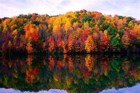 Where to See the Best Fall Foliage in West Virginia