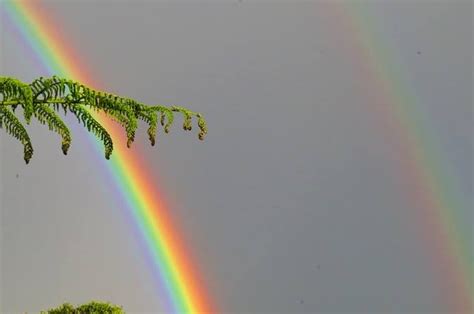 What makes a rainbow? | MetService Blog