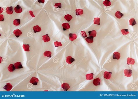 Red Rose Petals on Bed stock photo. Image of flowers - 136540662