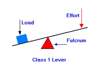 First-Class Lever - Rube Goldberg