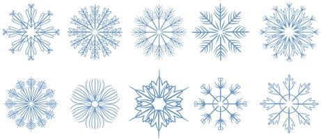 Snowflake Vector Pattern