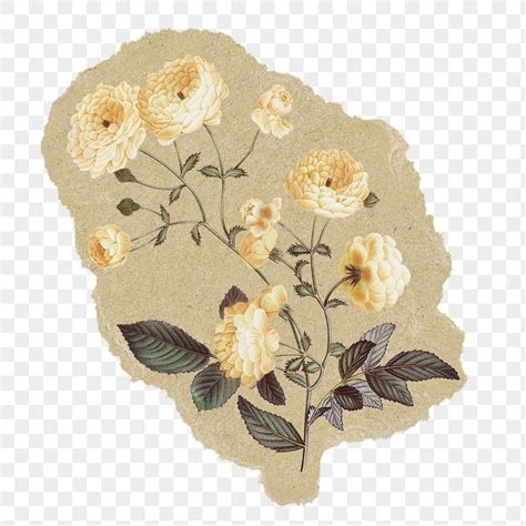 Vintage flowers png sticker, ripped paper, transparent background ...